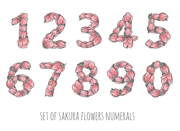Floral numbers vector set - sakura flowers elegant style numerals — Stock Vector
