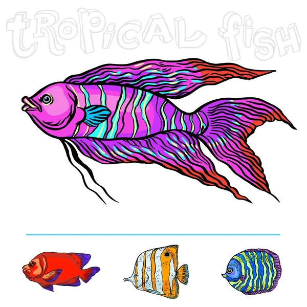 Peces marinos tropicales brillantes — Vector de stock