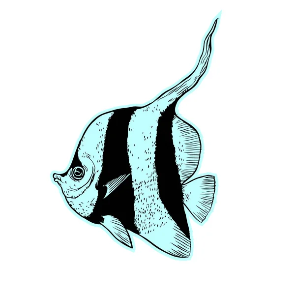 Pesce marino tropicale brillante — Vettoriale Stock