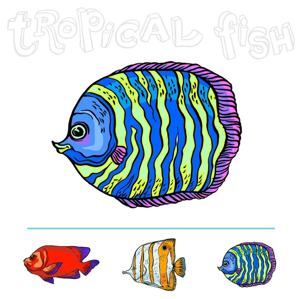 Peces marinos tropicales brillantes — Vector de stock