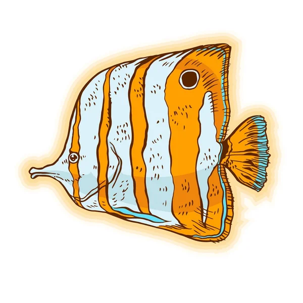 明るい熱帯海水魚 — ストックベクタ