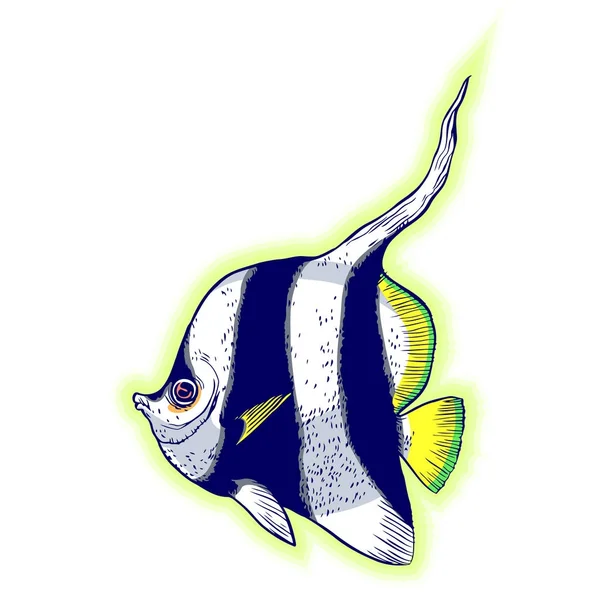 Světlé tropické mořské ryby — Stockový vektor