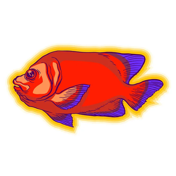 Bright tropical sea fish — Stock Vector