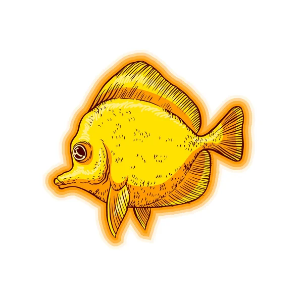Φωτεινή θάλασσα τροπικά ψάρια — Διανυσματικό Αρχείο