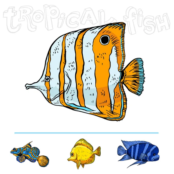 Peces marinos tropicales brillantes — Vector de stock