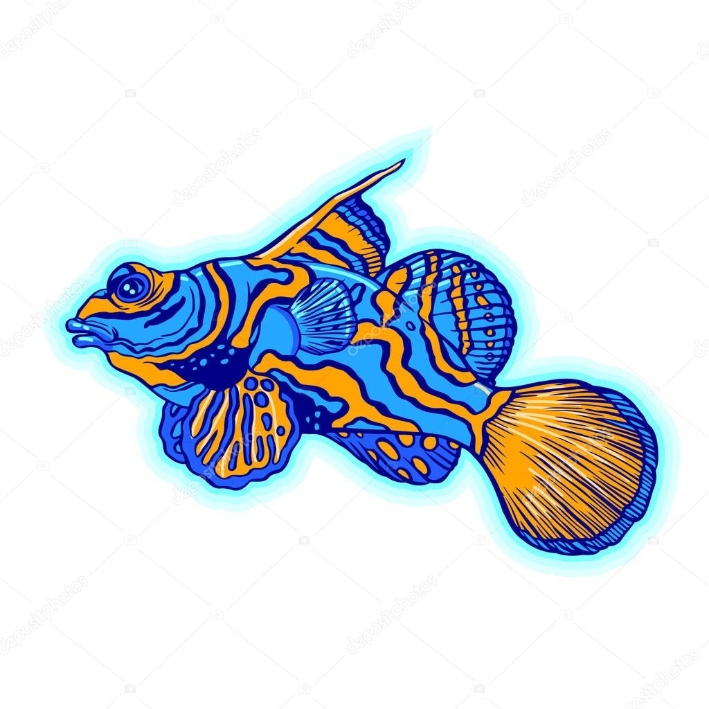 Bright tropical sea fish