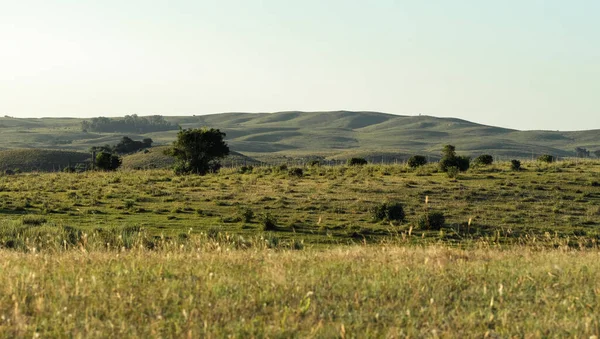 Resimde, Uruguay 'daki Treinta y Tres departmanının çayırlarını görebilirsiniz. Uzaktaki güzel dağları görebilirsiniz.