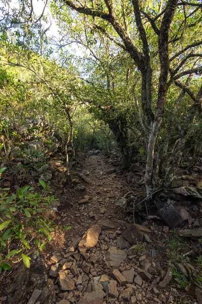 Uruguay 'daki otonom dağdaki taş patika.