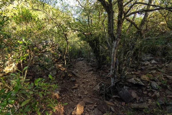 Uruguay 'daki otonom dağdaki taş patika.