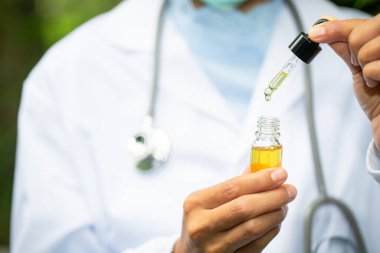 Cam şişe sapı, CBD kenevir yağı. Doktorlar ya da araştırmacılar bir şişe kenevir yağı tutuyor. Tıbbi steteskopla geçmiş. Tıbbi marihuana konsepti, CBD kenevir yağı. kenevir ürünü, kapat