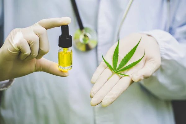 A bottle of CBD hemp oil and tea leaves in the hands of researchers or doctors wearing white gloves.  Medical concept of treatment. Natural herbs Used to treat depression.