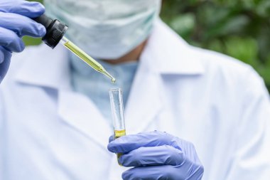 Araştırmacılar ya da doktorlar kenevir yağı atmak için Doppler kullanıyor. Bilim tüpleri. Alternatif tıbbi marihuana araştırma ve dinlenme alanına teknoloji getirme kavramı.