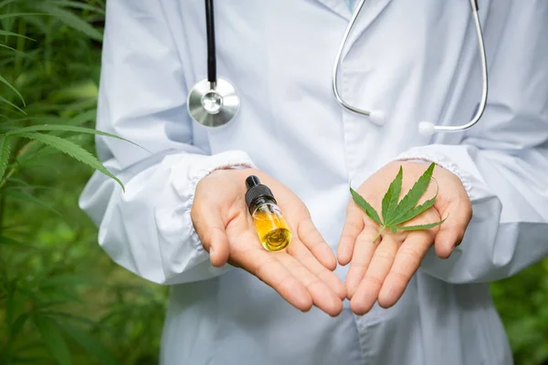 Óleo Cânhamo Folhas Cannabis Colocados Nas Mãos Médico Pesquisador Fundo — Fotografia de Stock