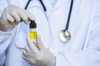 Araştırmacılar ya da doktorlar cam şişeye kenevir yağı dökmek üzereler. Kenevir ağacının yanında. CBD kenevir yağı tedavisi. Alternatif tıp Tedavi için yağ çıkaran doğal bitkiler..