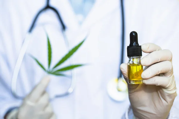 Kenderolaj Kannabiszlevelek Amelyeket Orvos Vagy Kutató Kezébe Adnak Sztetoszkópos Háttérrel — Stock Fotó