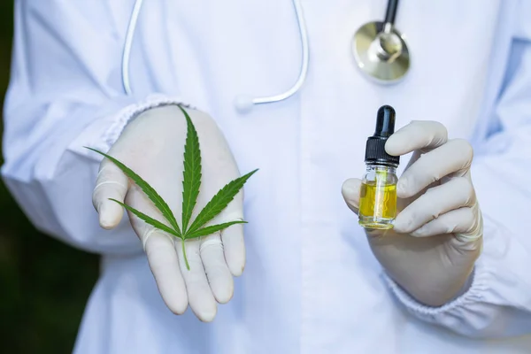 Hanföl Und Cannabisblätter Den Händen Von Ärzten Oder Forschern Hintergrund — Stockfoto