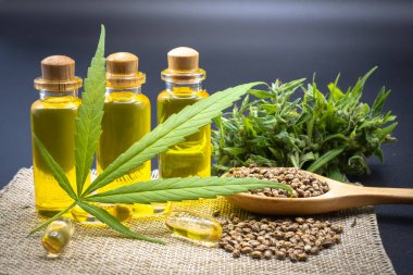 Hemp oil in a glass bottle Hemp seeds in a wooden spoon and hemp leaf placed on a black background table. The idea of extracting hemp leaf is oil for healing. Natural herbal medicine clipart