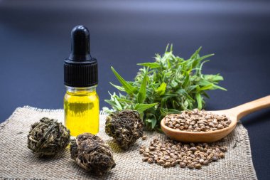 Cam bir şişedeki kenevir yağı tahta bir kaşıkta kenevir tohumu ve siyah bir arka plan masasına yerleştirilmiş kenevir yaprağı. Kenevir yaprağı çıkarma fikri iyileşmek için yağdır. Doğal bitkisel ilaçlar.