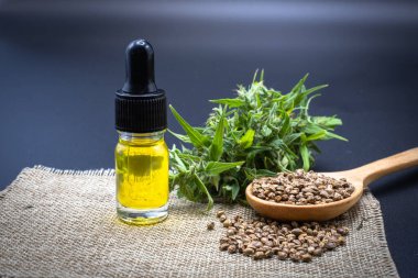 Tohum yaprağı, bir şişe CBD keneviri. Siyah arka plan. Hastalıkların tedavisinde tıbbi marihuana kavramı. CBD kenevir yağını bitkisel ilaçlara dönüştürmek