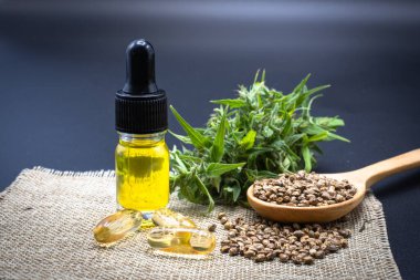 Yapraklar, tohumlar, kenevir yağı şişeleri ve CBD hapları, siyah arka plan. Hastalıkların tedavisinde tıbbi marihuana kavramı. Kullanılan bir esrar döngüsü vardır, yani rafine edilmiş CBD kenevir yağı.