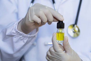 CBD kenevir yağı elinde bir şişe kenevir yağı tutan doktor ya da araştırmacının elinde. Araştırma ekibi. Alternatif tıp ekibi CBD, kenevir yağı, kenevir ürünleri, yakın plan..