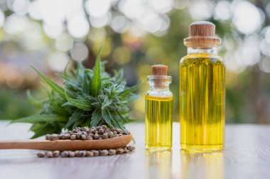 Cam şişedeki kenevir yağı. Ahşap bir kaşıkta kenevir tohumu ve kenevir yaprakları masaya konur. Marihuana yapraklarının doğal hastalıklar için yağ olarak çıkarılması fikri. Doğal bitkisel ilaçlar..