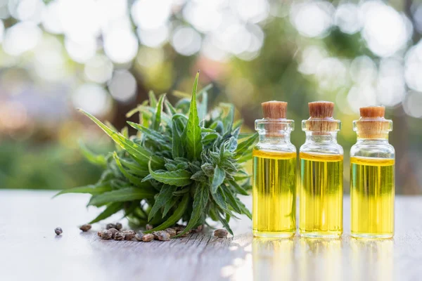 Hemp oil products in small bottles put together. CBD hemp oil is extracted from hemp and herbs for recreation, medicine, there is space for text entry.