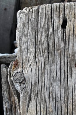 Eski ahşap doku doğal desenleri ile. Ağaç arka plan içinde. Eski eski ve yıpranmış gri ahşap duvar plakalar arka plan doku ve uzun pozlama için öğeleri açık havada tarafından işaretlenmiş.