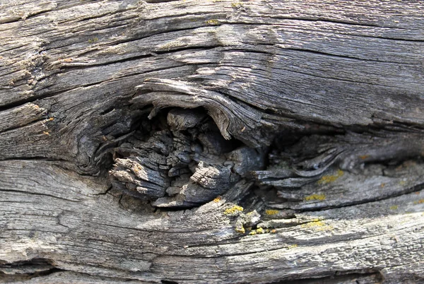 A textura de madeira velha com padrões naturais. Dentro do fundo da árvore. Velho grungy e resistido cinza pranchas de parede de madeira textura fundo — Fotografia de Stock