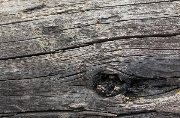 La textura de madera vieja con patrones naturales. Dentro del fondo del árbol. Antiguo grueso y envejecido tablones de pared de madera gris textura de fondo — Foto de Stock