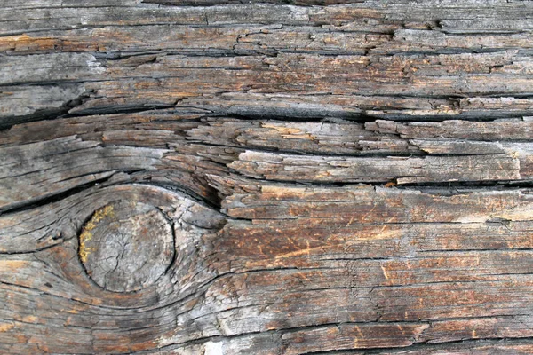 La textura de madera vieja con patrones naturales. Dentro del fondo del árbol. Antiguo grueso y envejecido tablones de pared de madera gris textura de fondo — Foto de Stock