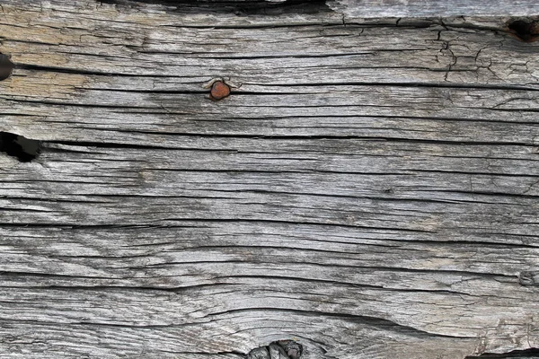 Vecchia Struttura Legno Con Motivi Naturali Dentro Sfondo Dell Albero — Foto Stock