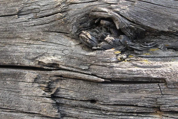 Παλιό Ξύλο Υφή Φυσικά Μοτίβα Μέσα Στο Δέντρο Φόντο Παλιά — Φωτογραφία Αρχείου