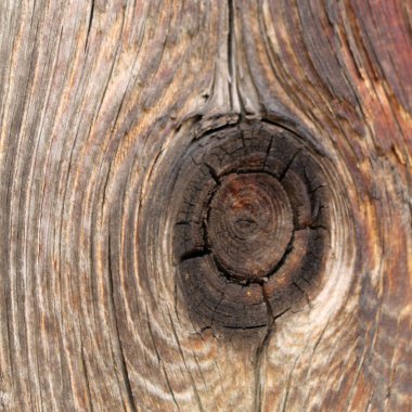 Eski ahşap doku doğal desenleri ile. Ağaç arka plan içinde. Eski eski ve yıpranmış gri ahşap duvar plakalar arka plan doku