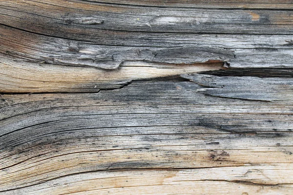 오래 된 나무 자연 패턴과 텍스처. 내부 트리 배경. 오래 된 지저분한 및 풍 화 회색 나무 벽 판자 질감 배경 — 스톡 사진