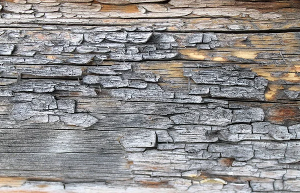 A textura de madeira velha com padrões naturais. Dentro do fundo da árvore. Velho grungy e resistido cinza pranchas de parede de madeira textura fundo — Fotografia de Stock