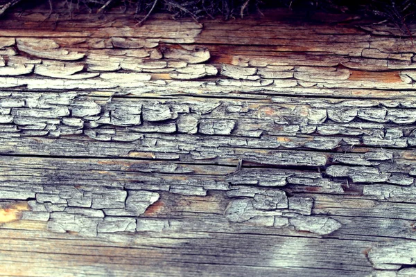 A textura de madeira velha com padrões naturais. Dentro do fundo da árvore. Velho grungy e resistido cinza pranchas de parede de madeira textura fundo — Fotografia de Stock
