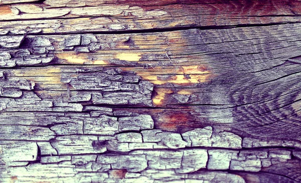 Fondo de pared de textura de tablón de madera con color de tono seleccionado. Fondo abstracto de una antigua pared de madera con una textura brillante . —  Fotos de Stock