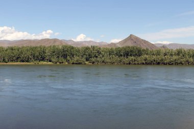 Yenisey Irmağı Vadisi, Güney Sibirya. Tuva Cumhuriyeti. Sonbahar manzara