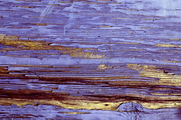 Bakgrund av planka textur väggen med valda ton färg. Abstrakt bakgrund av en gamla trävägg med ljusa konsistens. — Stockfoto