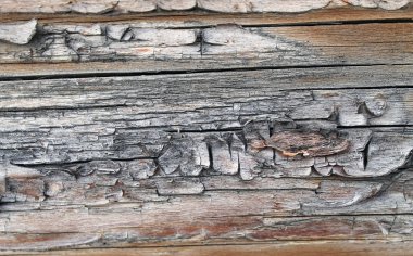 Eski ahşap doku doğal desenleri ile. Ağaç arka plan içinde. Eski eski ve yıpranmış gri ahşap duvar plakalar arka plan doku