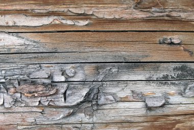 Eski ahşap doku doğal desenleri ile. Ağaç arka plan içinde. Eski eski ve yıpranmış gri ahşap duvar plakalar arka plan doku