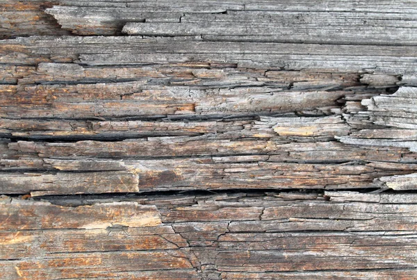 La textura de madera vieja con patrones naturales. Dentro del fondo del árbol. Antiguo grueso y envejecido tablones de pared de madera gris textura de fondo — Foto de Stock