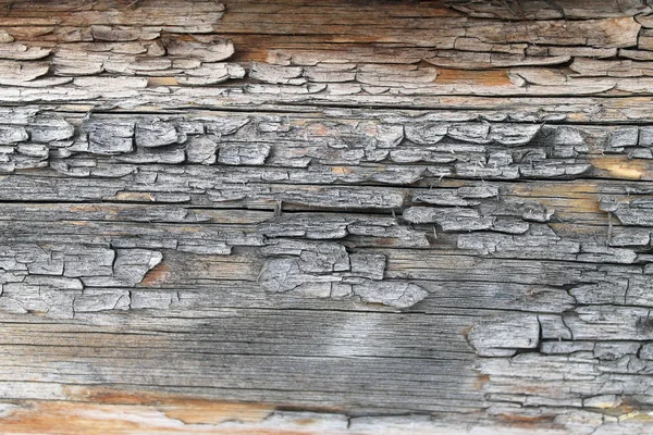 A textura de madeira velha com padrões naturais. Dentro do fundo da árvore. Velho grungy e resistido cinza pranchas de parede de madeira textura fundo — Fotografia de Stock