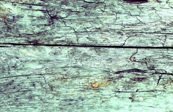Παλιό Ξύλο Υφή Φυσικά Μοτίβα Μέσα Στο Δέντρο Φόντο Παλιά — Φωτογραφία Αρχείου