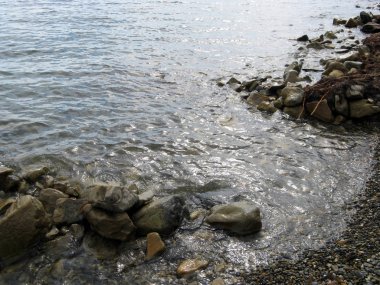 Nehirde balık suyun altında bir çok temiz su. Vahşi doğa arka plan. Lake alt.