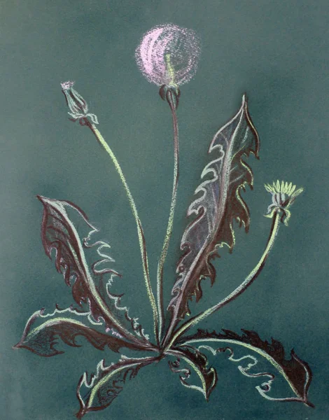 Иллюстрация одуванчик, пастель, растение, весна, природа, цветок, искусство. зеленый сад , — стоковое фото