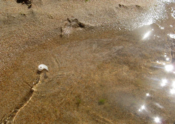 沙滩上的沙子在水下, 荒芜的海滩湖, 夏天, 阳光洒在沙滩上 — 图库照片