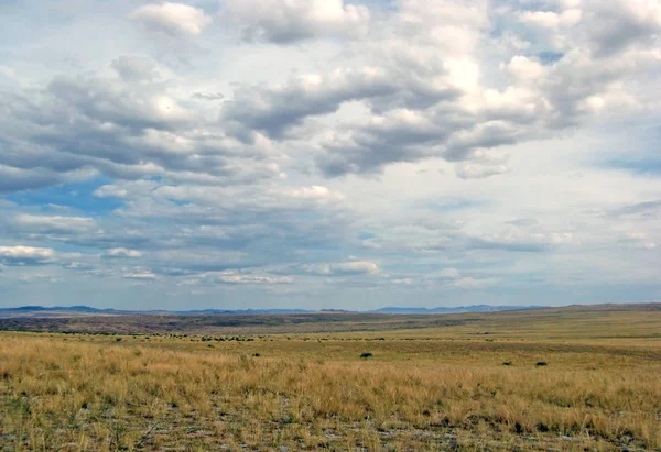 Estepa ancha con hierba amarilla bajo un cielo azul con nubes blancas Sayan montañas Siberia Rusia —  Fotos de Stock