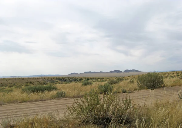 Large steppe avec herbe jaune sous un ciel bleu avec des nuages blancs — Photo